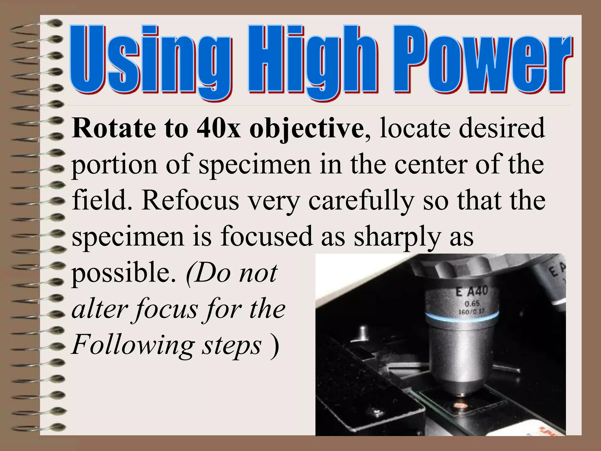 Rotate to 40x objective, locate desired
portion of specimen in the center of the
field. Refocus very carefully so that the
specimen is focused as sharply as
possible. (Do not
alter focus for the
Following steps )
 