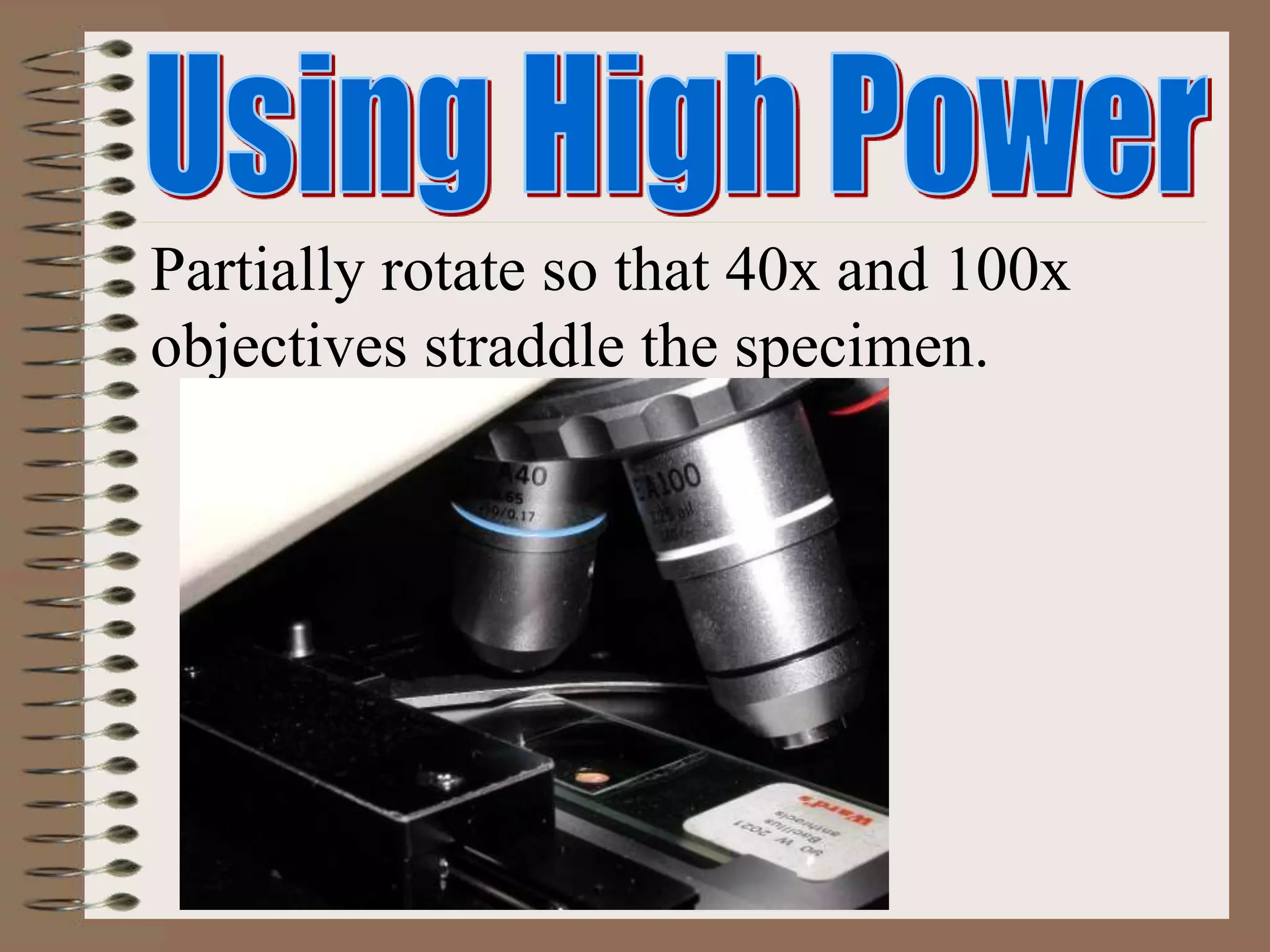 Partially rotate so that 40x and 100x
objectives straddle the specimen.
 