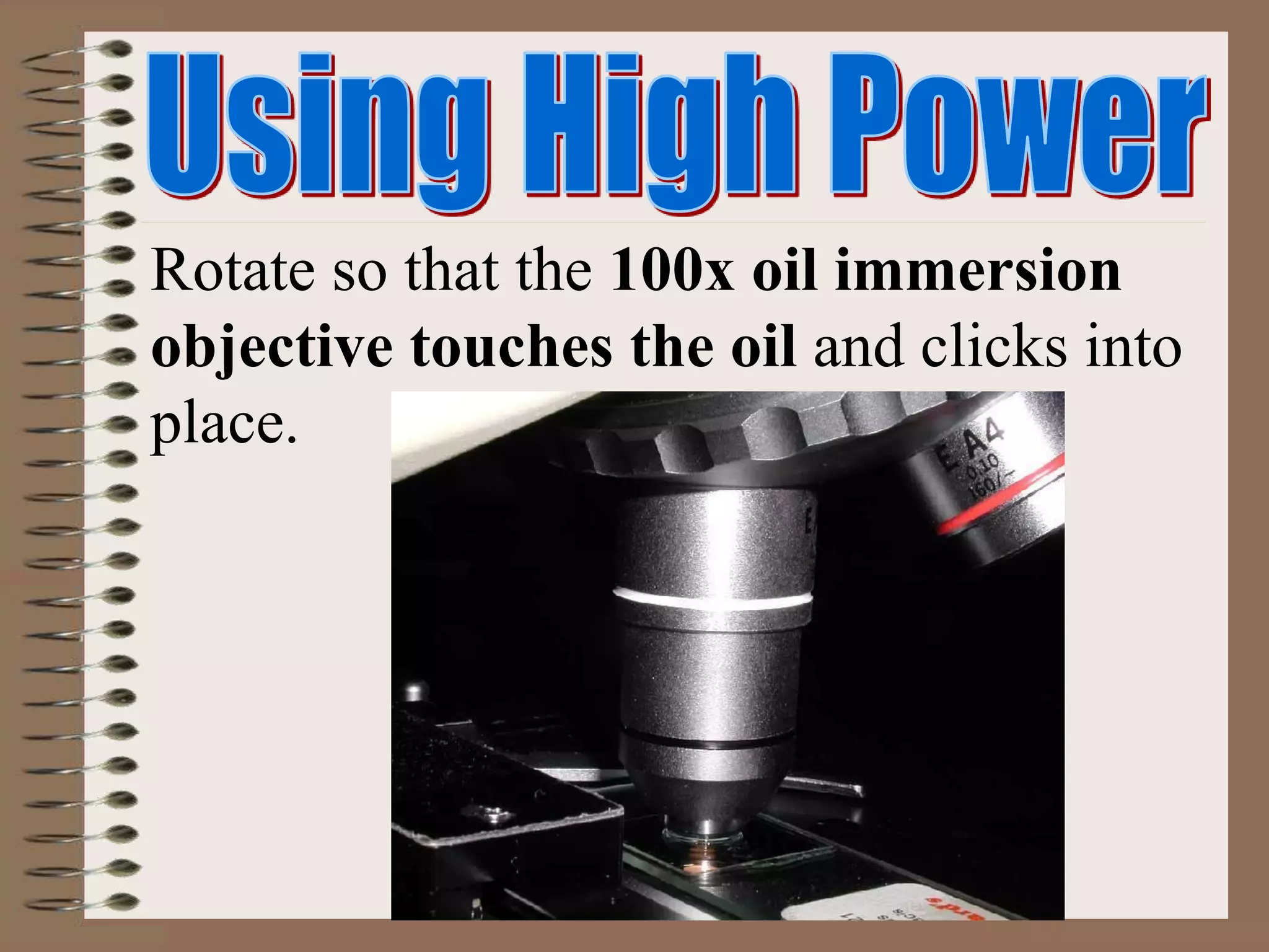 Rotate so that the 100x oil immersion
objective touches the oil and clicks into
place.
 