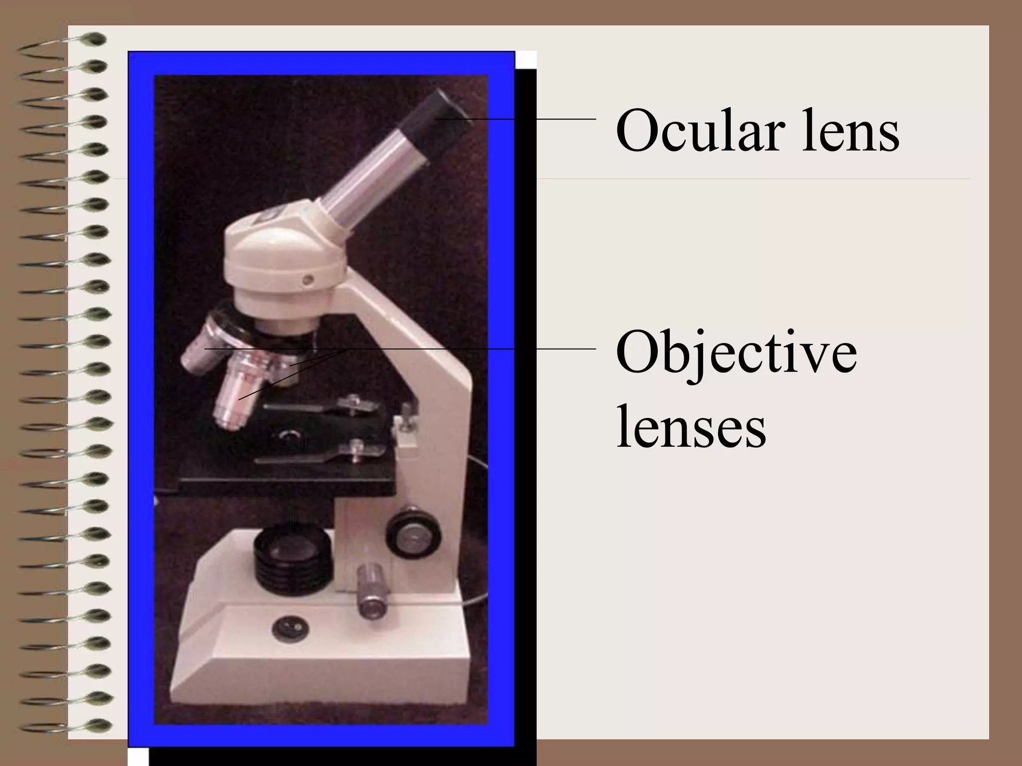 Ocular lens
Objective
lenses
 