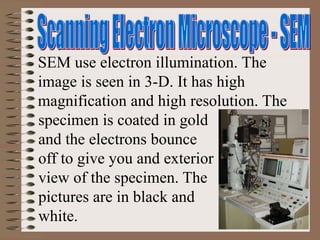 SEM use electron illumination. The
image is seen in 3-D. It has high
magnification and high resolution. The
specimen is coated in gold
and the electrons bounce
off to give you and exterior
view of the specimen. The
pictures are in black and
white.
 