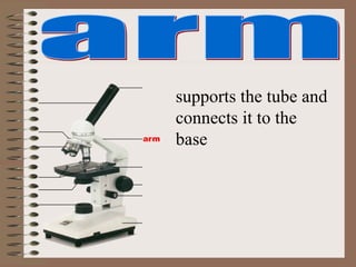 arm
supports the tube and
connects it to the
base
 