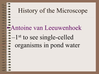 History of the Microscope
• Antoine van Leeuwenhoek
–1st to see single-celled
organisms in pond water
 