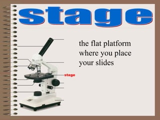 stage
the flat platform
where you place
your slides
 