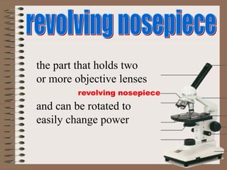 revolving nosepiece
the part that holds two
or more objective lenses
and can be rotated to
easily change power
 
