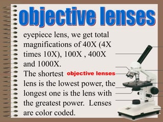 objective lenses
eyepiece lens, we get total
magnifications of 40X (4X
times 10X), 100X , 400X
and 1000X.
The shortest
lens is the lowest power, the
longest one is the lens with
the greatest power. Lenses
are color coded.
 