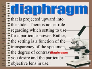 diaphragm
that is projected upward into
the slide. There is no set rule
regarding which setting to use
for a particular power. Rather,
the setting is a function of the
transparency of the specimen,
the degree of contrast
you desire and the particular
objective lens in use.
 