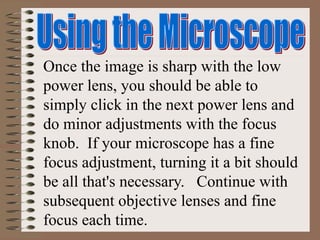Once the image is sharp with the low
power lens, you should be able to
simply click in the next power lens and
do minor adjustments with the focus
knob. If your microscope has a fine
focus adjustment, turning it a bit should
be all that's necessary. Continue with
subsequent objective lenses and fine
focus each time.
 