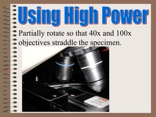 Partially rotate so that 40x and 100x
objectives straddle the specimen.
 