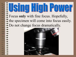 Focus only with fine focus. Hopefully,
the specimen will come into focus easily.
Do not change focus dramatically.
 