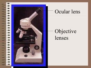 Ocular lens
Objective
lenses
 