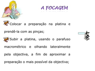 Colocar a preparação na platina e

prendê-la com as pinças;

   Subir a platina, usando o parafuso

macrométrico   e   olhando   lateralmente

pela objectiva, a fim de aproximar a

preparação o mais possível da objectiva;
 