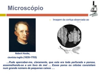  Imagem da cortiça observada ao 
microscópio. 
Microscópio 
Robert Hooke, 
cientista Inglês (1635-1703)) 
…Pude aperceber-me, claramente, que esta era toda perfurada e porosa, 
assemelhando-se a um favo de mel … Esses poros ou células consistiam 
num grande número de pequenas caixas …. 
 