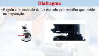 Microscópio.pdf
