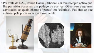 • Por volta de 1650, Robert Hooke , fabricou um microscópio óptico que
lhe permitiu observar um pedaço de cortiça. Observo...