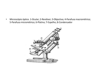 •   Microscópio óptico. 1-Ocular; 2-Revólver; 3-Objectiva; 4-Parafuso macrométrico;
    5-Parafuso micrométrico; 6-Platina; 7-Espelho; 8-Condensador
 