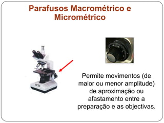 Parafusos Macrométrico e
Micrométrico
Permite movimentos (de
maior ou menor amplitude)
de aproximação ou
afastamento entre a
preparação e as objectivas.
 