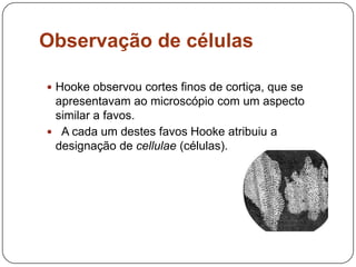 Observação de células
 Hooke observou cortes finos de cortiça, que se
apresentavam ao microscópio com um aspecto
similar a favos.
 A cada um destes favos Hooke atribuiu a
designação de cellulae (células).
 