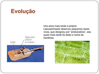 Evolução
Uns anos mais tarde o próprio
Leeuwenhoeck observou pequenos seres
vivos, que designou por “protozoários”, aos
quais mais tarde foi dado o nome de
bactérias.
 