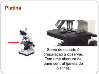 PlatinaServe de suporte à preparação a observar. Tem uma abertura na pane central (janela da platina). 
