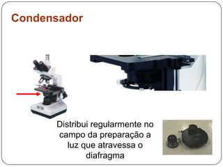 CondensadorDistribui regularmente no campo da preparação a luz que atravessa o diafragma 