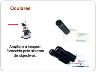 OcularesAmpliam a imagem fornecida pelo sistema de objectivas.