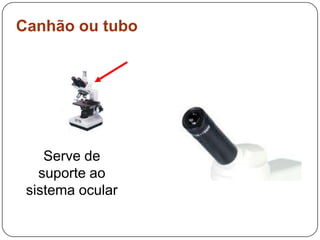 Canhão ou tuboServe de suporte ao sistema ocular