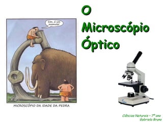 O Microscópio Óptico Ciências Naturais – 7º ano  Gabriela Bruno 