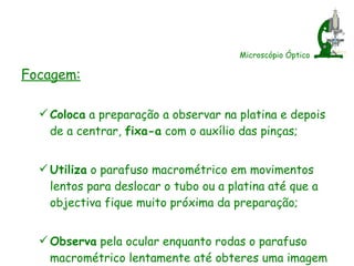 Microscópio Óptico Focagem: Coloca  a preparação a observar na platina e depois de a centrar,  fixa-a  com o auxílio das pinças; Utiliza  o parafuso macrométrico em movimentos lentos para deslocar o tubo ou a platina até que a objectiva fique muito próxima da preparação; Observa  pela ocular enquanto rodas o parafuso macrométrico lentamente até obteres uma imagem nítida; 