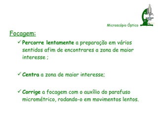 Microscópio Óptico Focagem: Percorre lentamente  a preparação em vários sentidos afim de encontrares a zona de maior interesse ; Centra  a zona de maior interesse; Corrige  a focagem com o auxílio do parafuso micrométrico, rodando-o em movimentos lentos. 