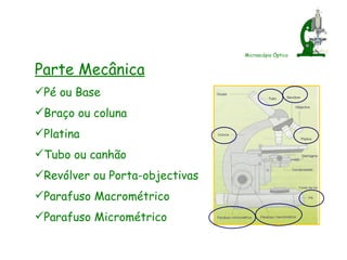 Microscópio Óptico <ul><li>Parte Mecânica </li></ul><ul><li>Pé ou Base  </li></ul><ul><li>Braço ou coluna </li></ul><ul><l...