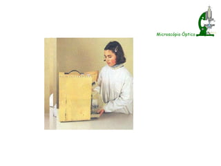 Microscópio Óptico 