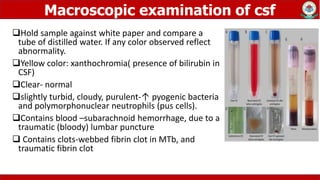 Yellow Csf Color Micro Seminar 02-2.pptx
