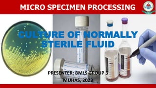 CULTURE OF NORMALLY
STERILE FLUID
PRESENTER: BMLS GROUP 3
MUHAS, 2023
MICRO SPECIMEN PROCESSING
 
