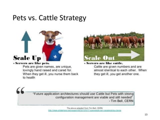 Pets vs. Cattle Strategy
13
 
