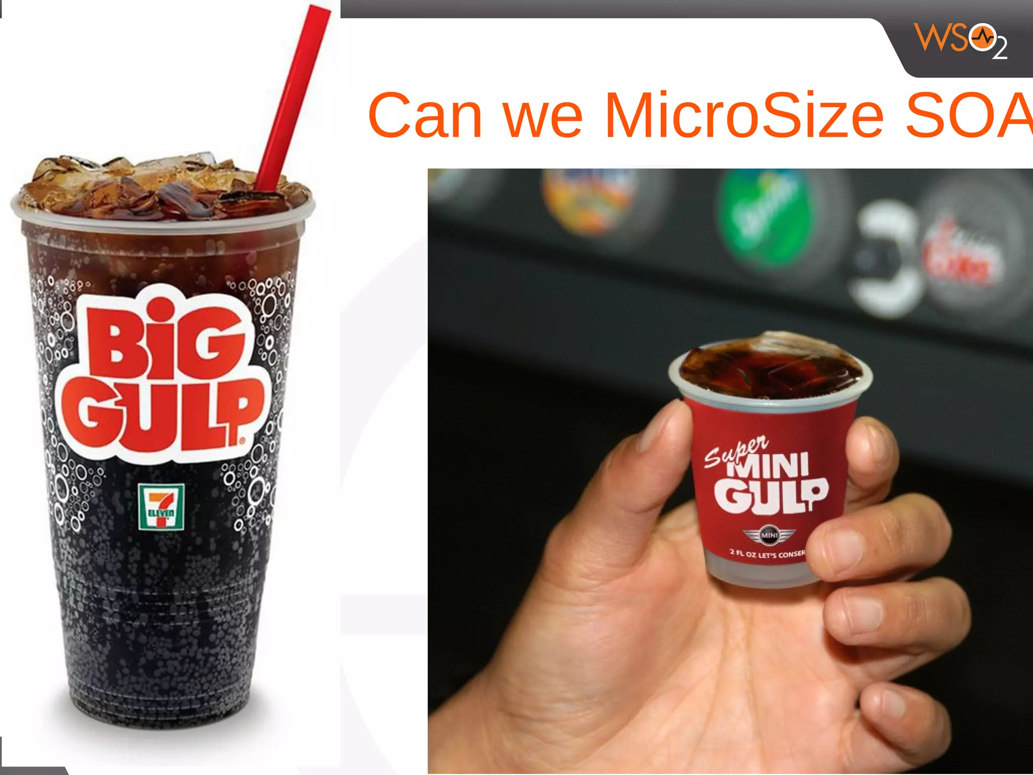 Can we MicroSize SOA
11
 