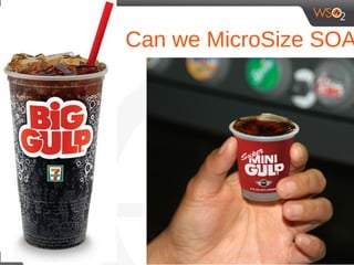 Can we MicroSize SOA
11
 