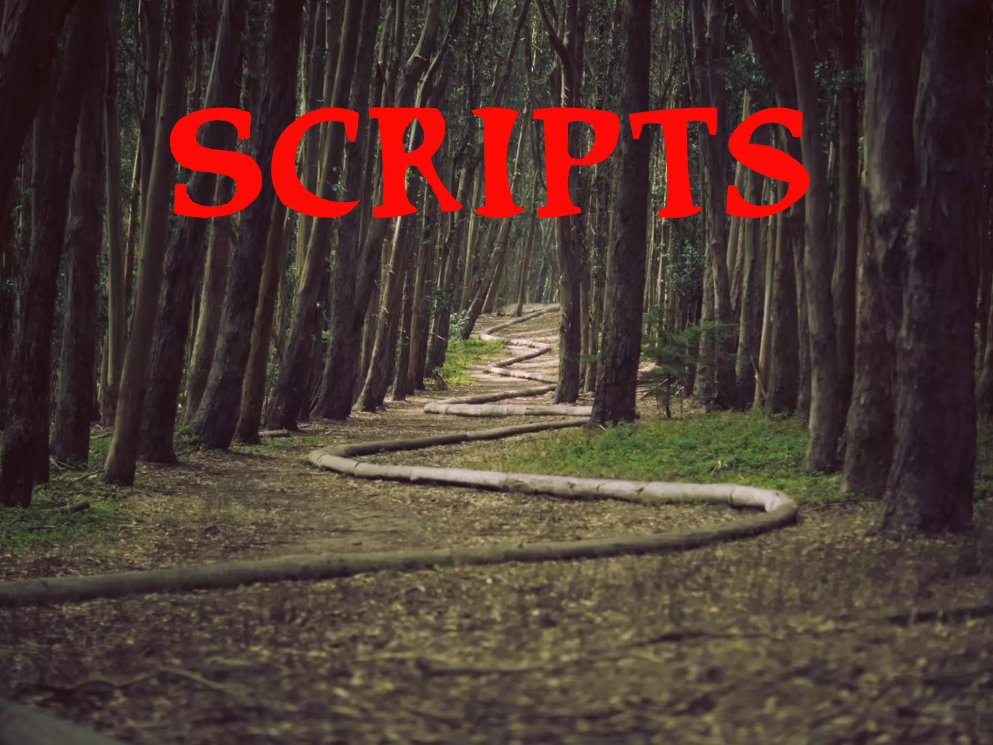 Scripts
 