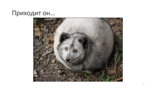 Приходит он…
9
 