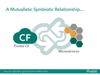 A Mutualistic Symbiotic Relationship… 
Microservices 
Pivotal CF 
http://en.wikipedia.org/wiki/Symbiosis#Mutualism 
© 2014 Pivotal Software, Inc. All rights reserved. 26 
 