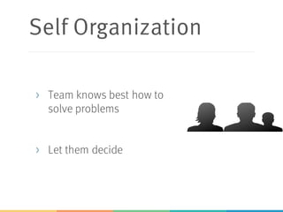 Self Organization
> Team knows best how to
solve problems
> Let them decide
 