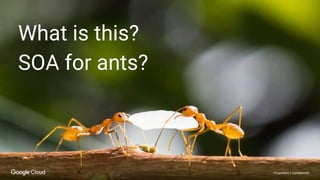 Proprietary + Confidential
What is this?
SOA for ants?
 