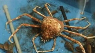 Example Clever Cloud
 