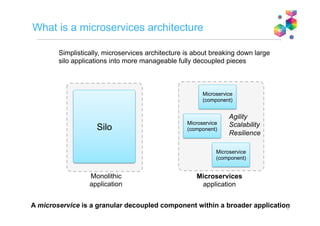 Digital Transformation Creates Multi-Modal IT
Digital
• Timeframe: Days/Weeks
• Scope: Strategic
• Sponsor: CMO
• Budget: $
• Complexity: Low
• Buying behavior: Self service
Enterprise
• Timeframe: Months/Years
• Scope: Strategic
• Sponsor: CIO
• Budget: $$$
• Complexity: High
• Buying behavior: Human engagement
Enterprise
IT
Digital
Teams
Explore, adopt, adapt with
rapid, iterative prototypes
Always on, always available
Security, control, and governance
 