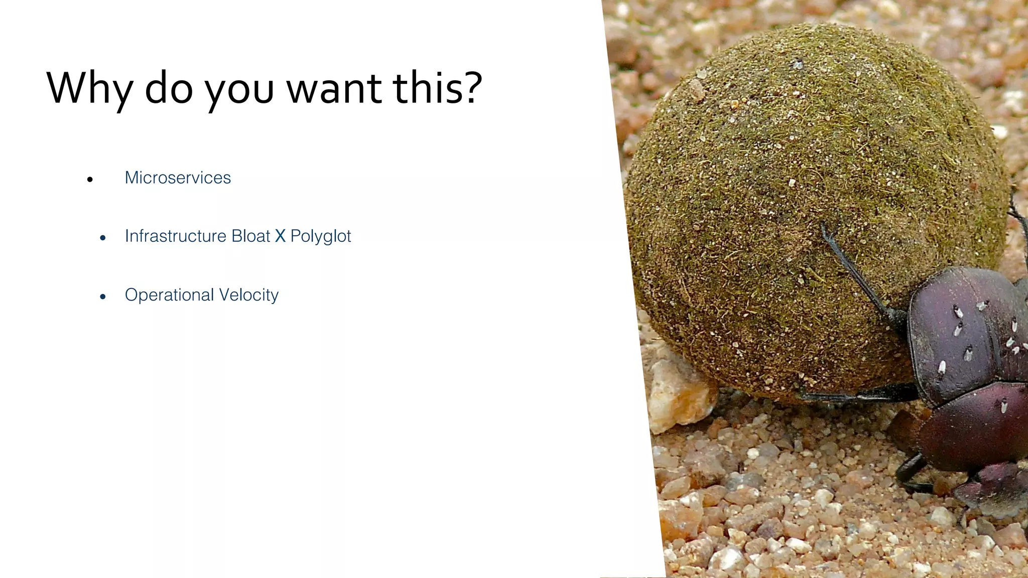 MS-B	Pod	
Is2o	Pilot	
Timeout	
X	seconds	delay	
Fault	Injec2on	
504	error	
Administrator	
Set	Route	Rule	
MS-A	Envoy	
MS-B	Envoy	
Is2o	Ingress	 N	requests	
User	Input	
N	requests	
 