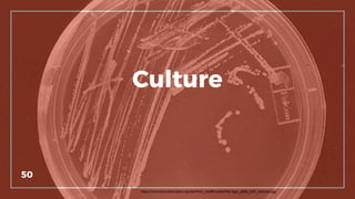 Culture
50
https://commons.wikimedia.org/wiki/Petri_dish#/media/File:Agar_plate_with_colonies.jpg
 