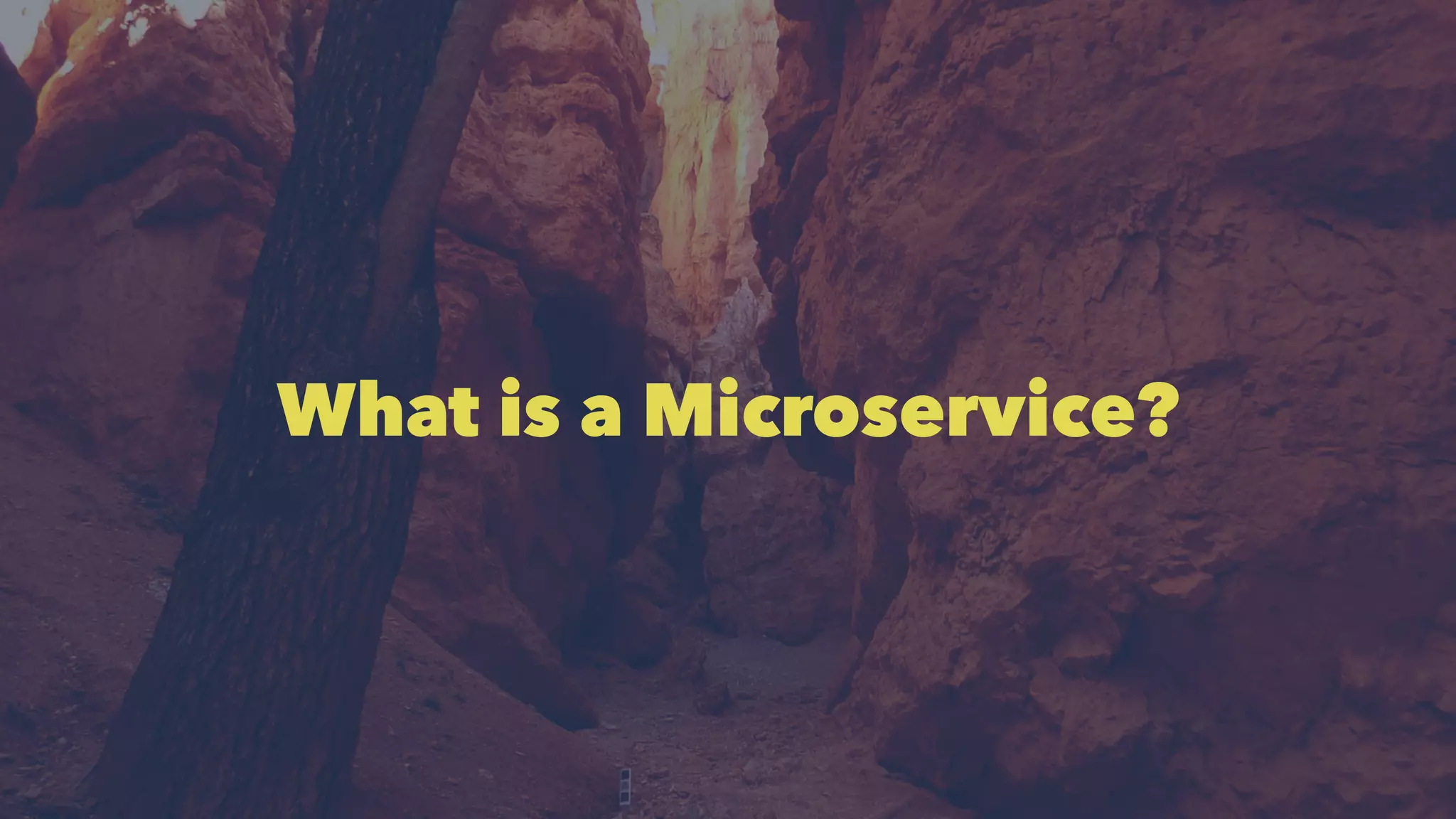 Microservices Python bangkok | PDF