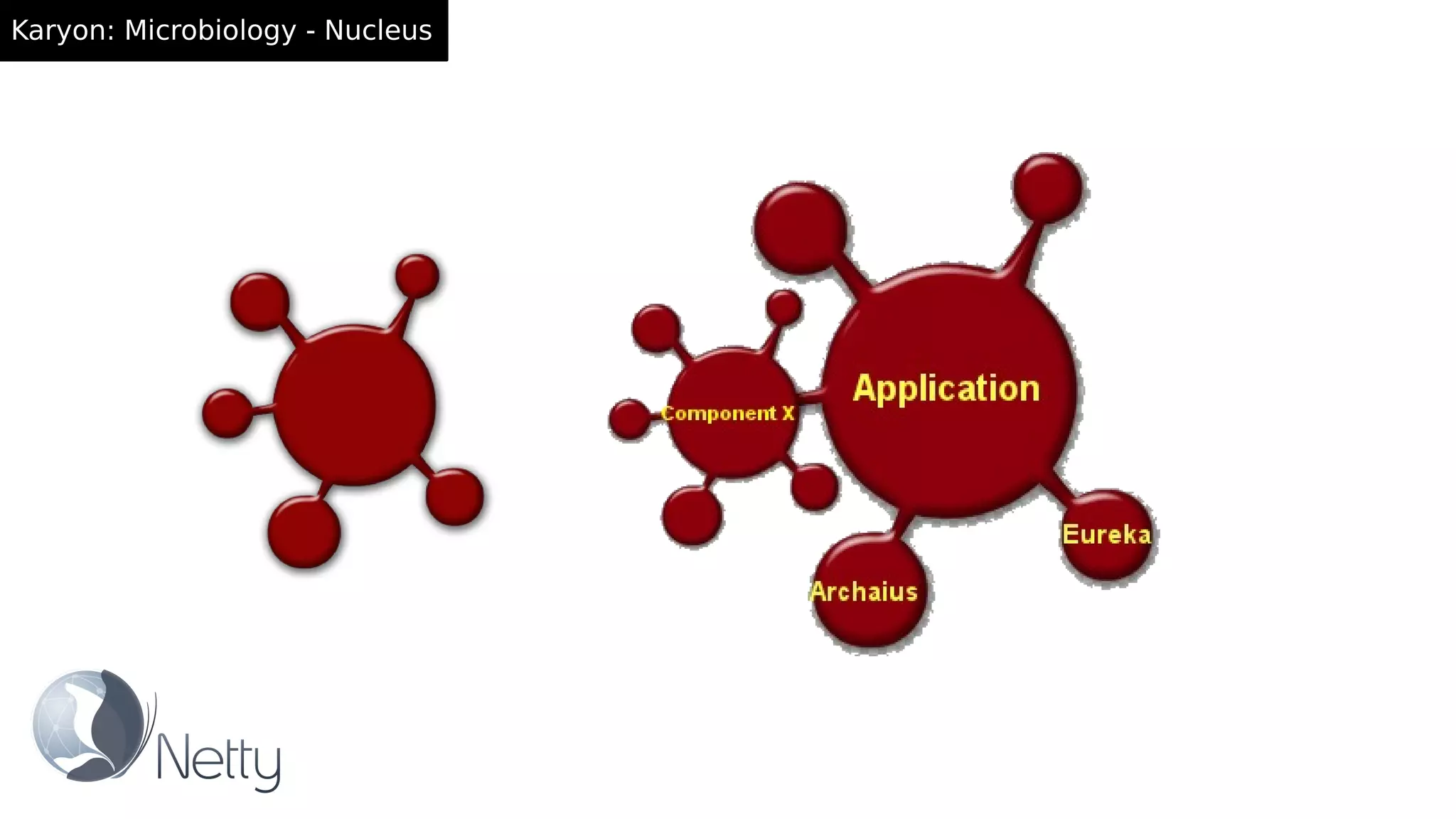 Karyon: Microbiology - Nucleus
 