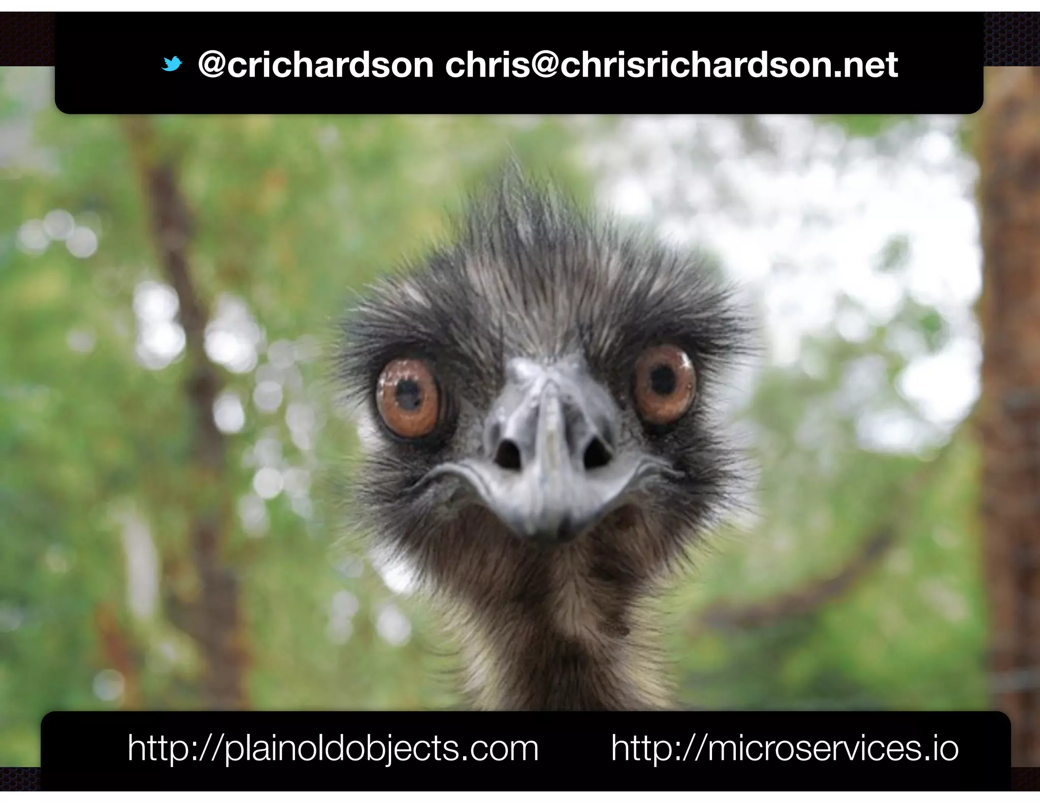 @crichardson
@crichardson chris@chrisrichardson.net
http://plainoldobjects.com http://microservices.io
 