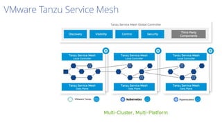 VMware Tanzu Service Mesh
 